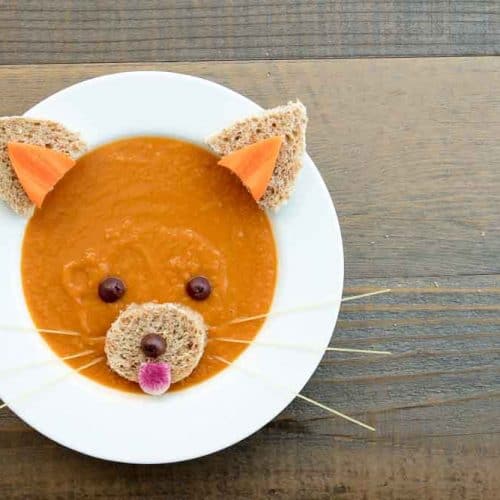 Vegan Red Panda Carrot Soup