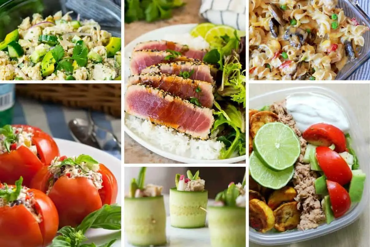is keto tuna friendly? yes it is! These 19 low carb tuna recipes are perfect for lunch, dinner or a snack.