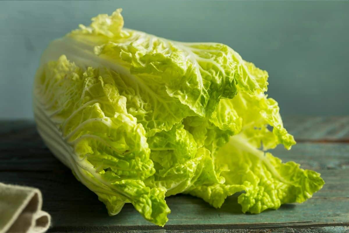 What does napa cabbage taste like What Is Napa Cabbage? (Uses, Benefits & More!) Vegetables napa cabbage