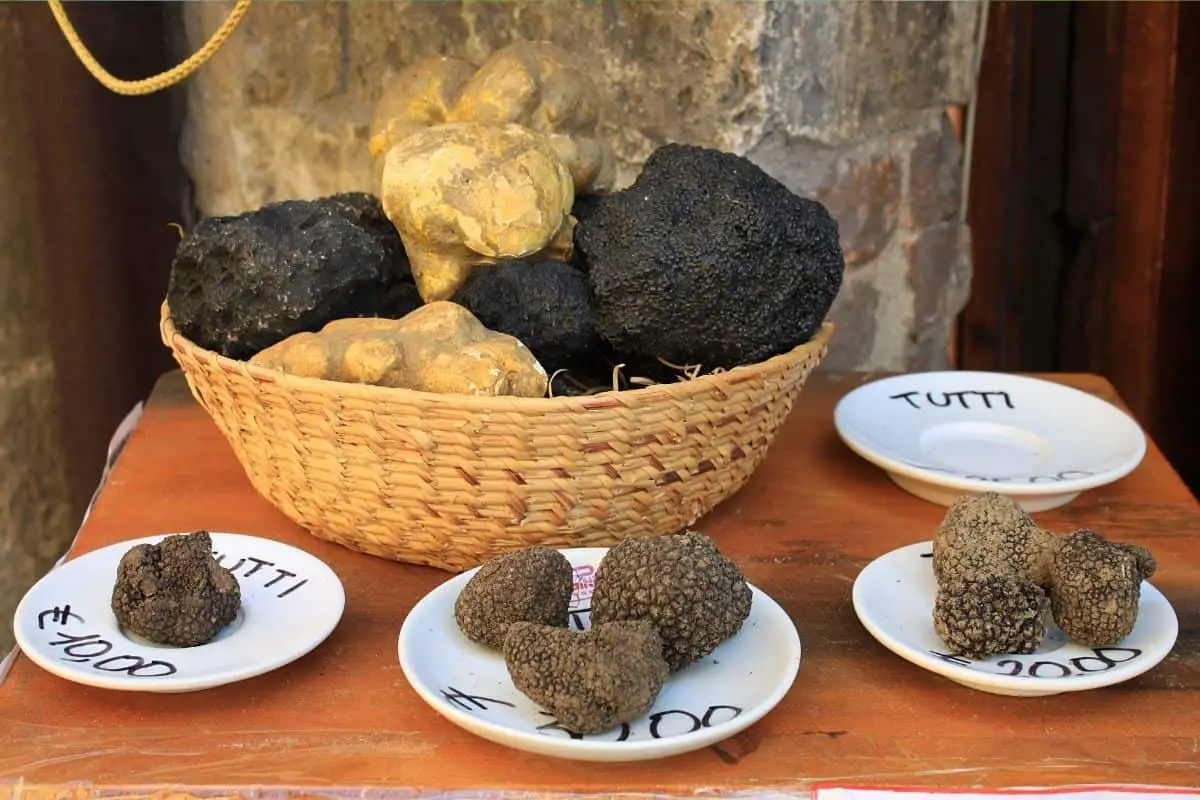 truffles taste and smell What do truffles taste & Smell like? {Explained!} Food truffles taste