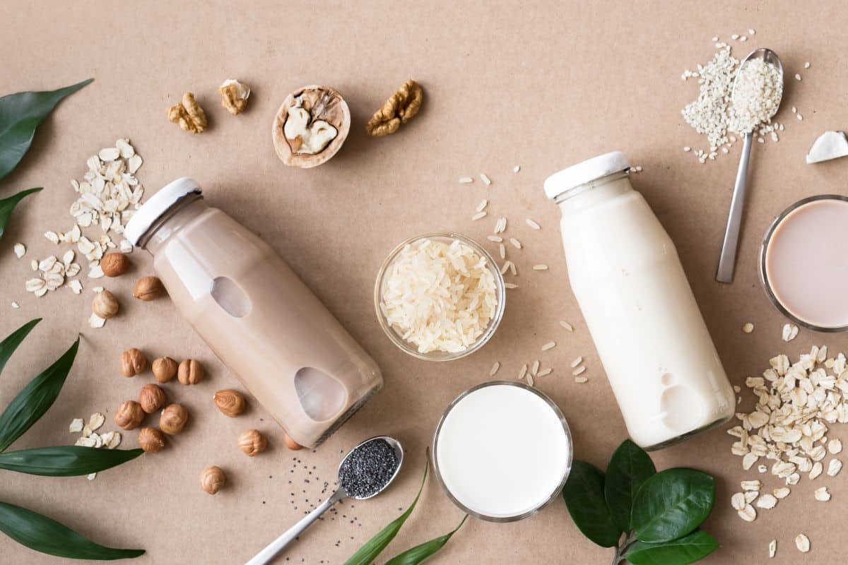 Plant-Based Protein vs. Animal-Based Protein