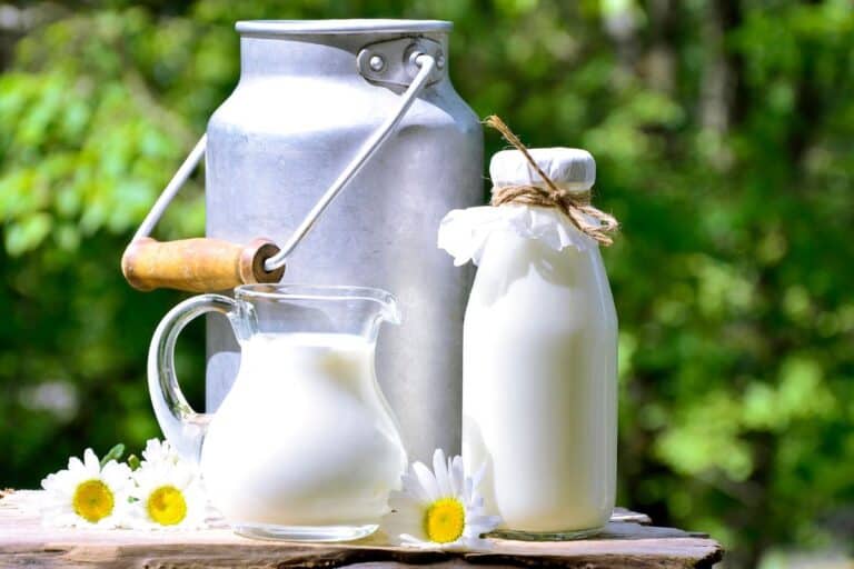 What Makes Milk Organic?